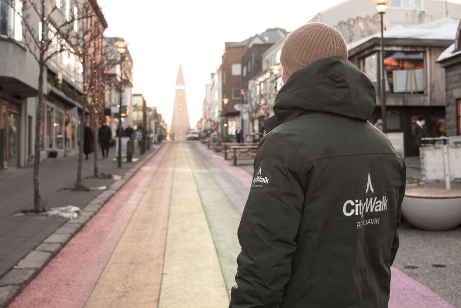 Reykjavik: City Walking tour in Small Group with Local Guide - Key Things I’d Watch For on This Reykjavík Walk