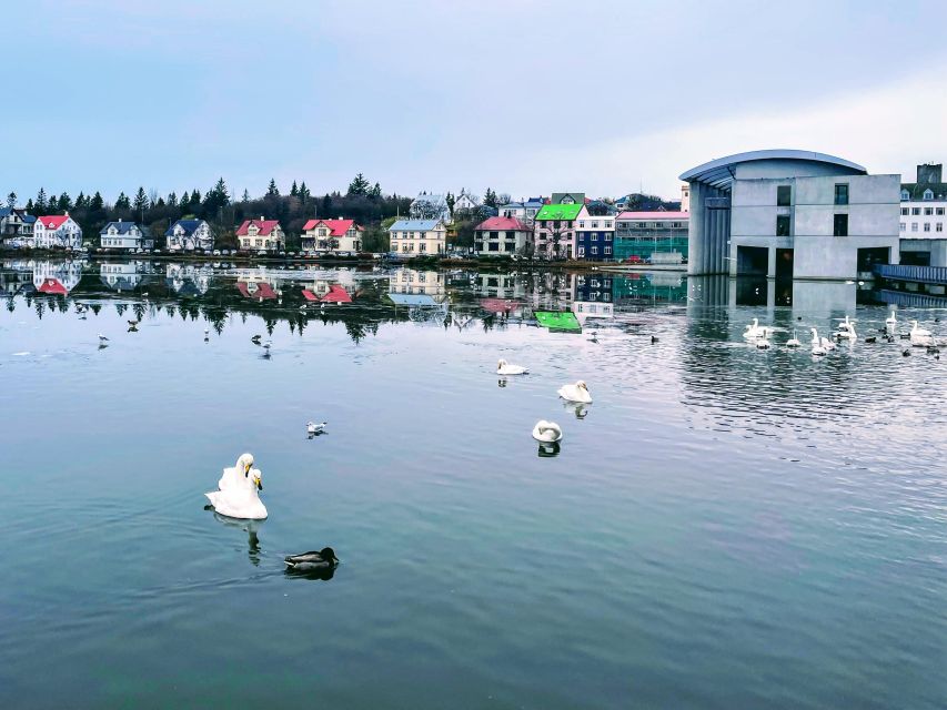 Reykjavik: City Walking tour in Small Group with Local Guide - Laugavegur and Skólavörðustígur: The Quirky Street Rhythm You’ll Want to Revisit