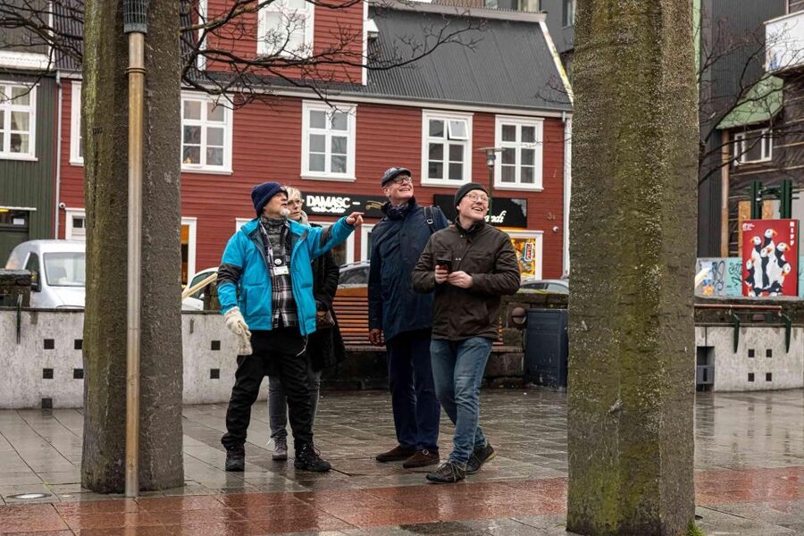 Reykjavik: Sightseeing Walking Tour with a Viking - The Viking Theme and the Icelandic Language Mini-Lesson