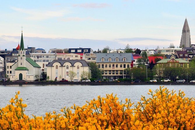 Reykjavik Walking Tour - Walk with a Viking - Alþingi and the old graveyard: democracy and memory in one stretch