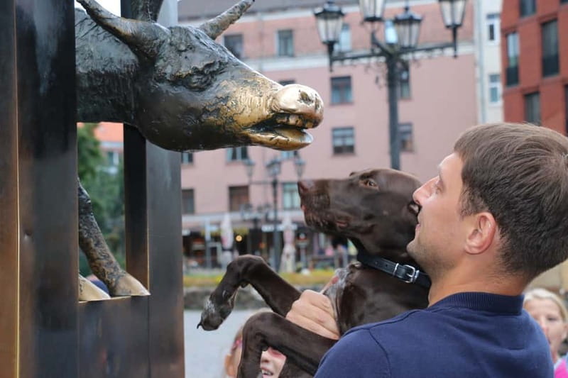 Riga: Guided Old Town Walking Tour - Getting Oriented: Where the Walk Starts and Why It Helps