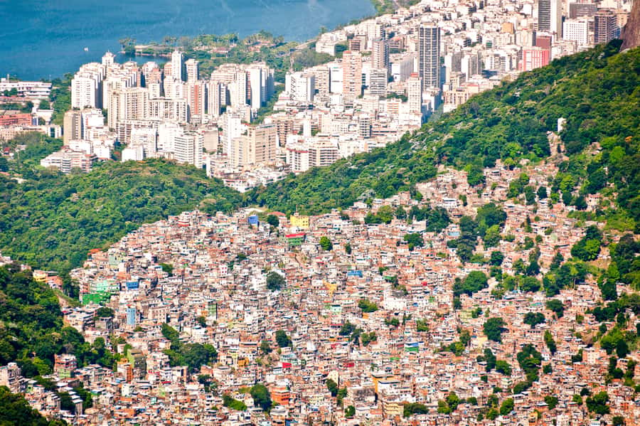 Rio De Janeiro: Half-Day Rocinha Favela Walking Tour - Rocinha on Foot: Why Walking Changes Everything