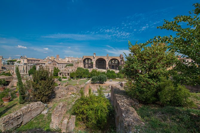 Rome: Colosseum Arena, Roman Forum & Palatine Hill Tour - Headsets, audio guide option, and language clarity