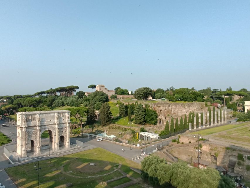 Rome: Colosseum, Palatine Hill, & Roman Forum Walking Tour - Roman Forum: where politics, religion, and commerce lived