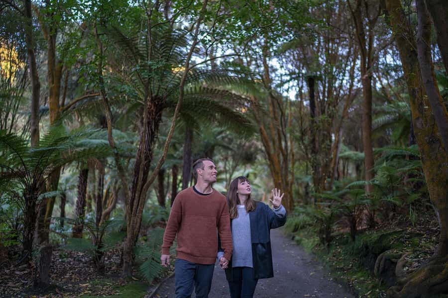 Rotorua: Hell's Gate Outdoor Mud Spa & Guided Walk - Key Things to Know Before You Go