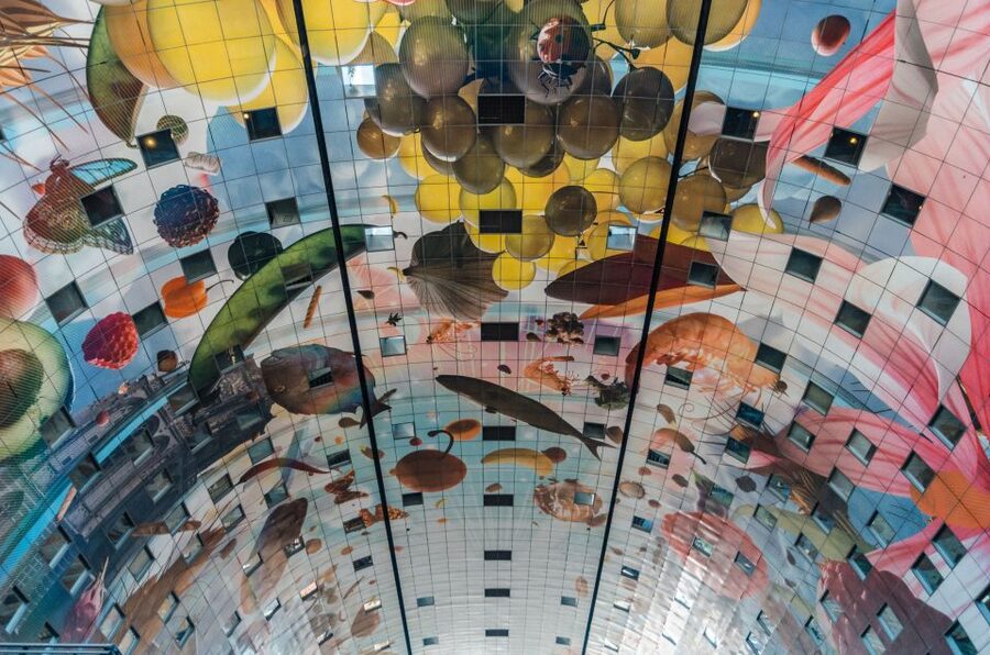 Rotterdam: Architectural Highlights Guided Walking Tour - Key highlights you’ll feel on this walk
