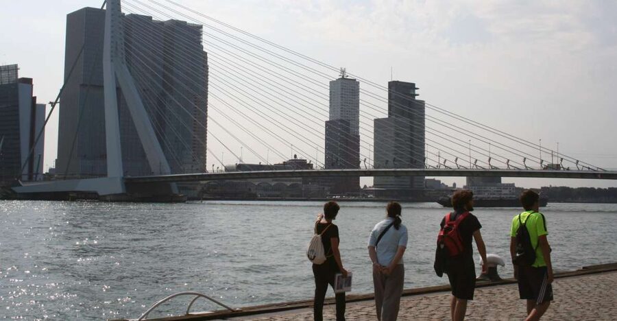 Rotterdam: Architectural Highlights Guided Walking Tour - Price and value: what $53 buys you in Rotterdam