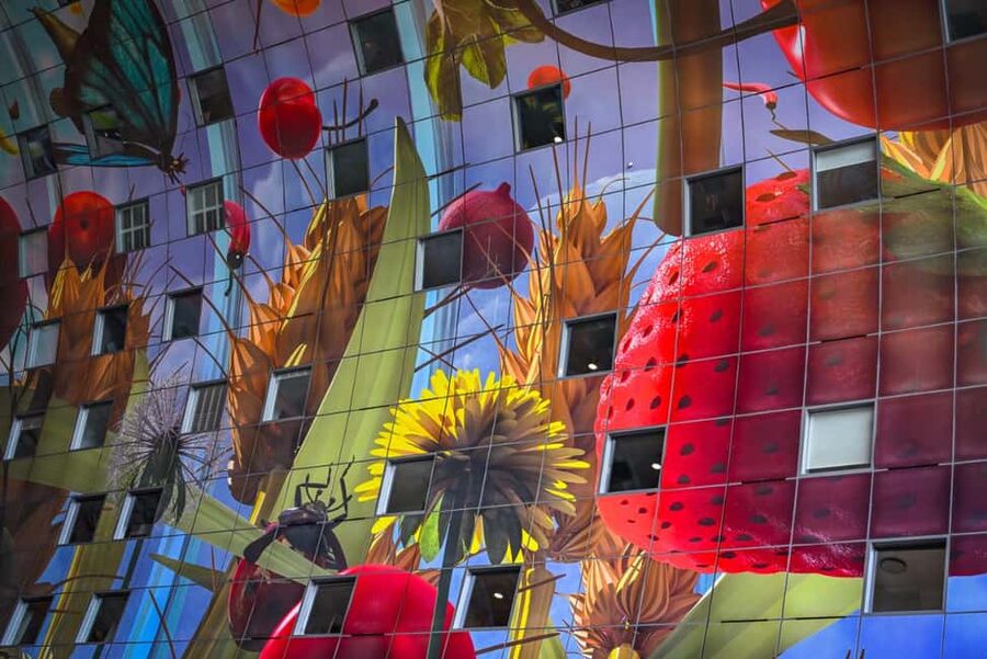 Rotterdam: Highlights & Gems Walking Tour with Dutch Local - Price and Logistics: Getting In the Right Headspace