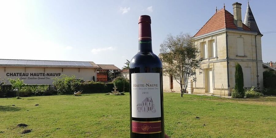 Saint-Émilion: Vineyard Walking Tour and Tasting - Key things I’d notice right away