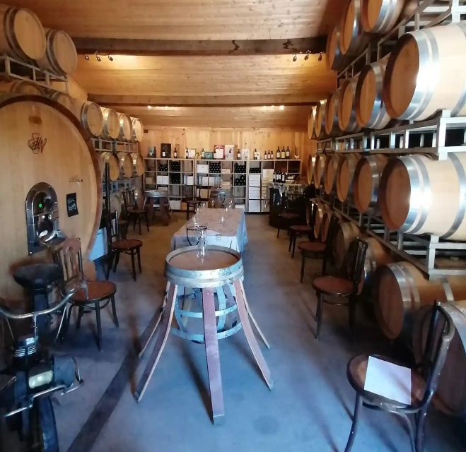 Saint-Émilion: Vineyard Walking Tour and Tasting - Frost, sustainability, and diversification: the real-world challenges