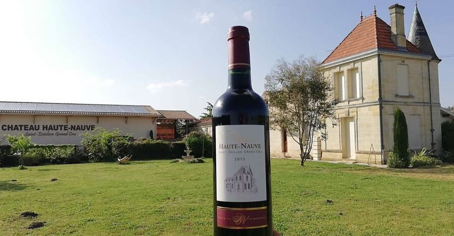 Saint-Émilion: Vineyard Walking Tour and Tasting - Inside the vinification cellar: fermentation, pumping, pressing