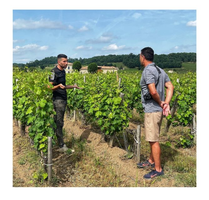 Saint-Émilion: Vineyard Walking Tour and Tasting - Should you book Château Haute-Nauve’s vineyard walk and tasting?