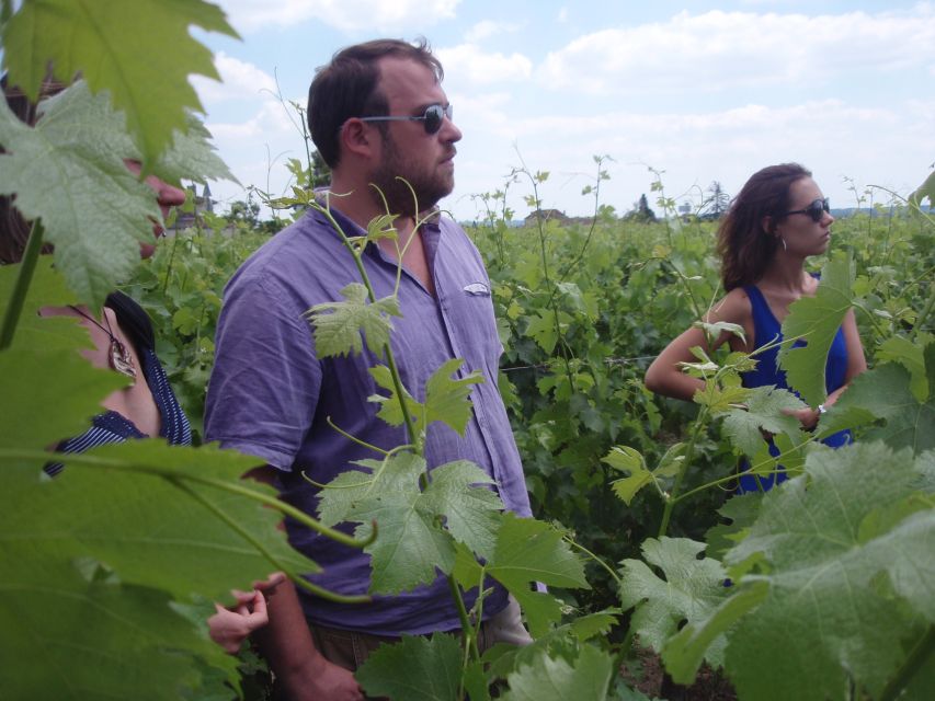 Saint-Émilion: Vineyard Walking Tour and Tasting - The vineyard walk with Marie-Anne or Florent: what you’ll see