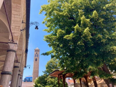 Sarajevo: Grand Walking Tour Through Time and Cultures - Latin Bridge to Emperor’s Mosque: where European history meets street life