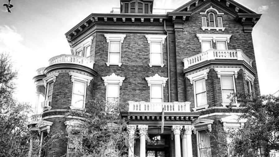 Savannah: Ghosts, Asylums, Voodoo, and Horror Walking Tour - Voodoo, Asylums, Root Magic, and Local Occult Culture