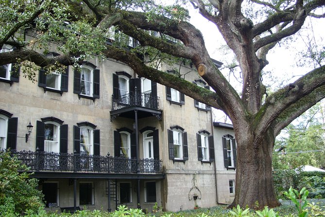Savannah Historic District Walking Tour - City Market Neighborhood Stroll: Shops, Food, and Local Picks