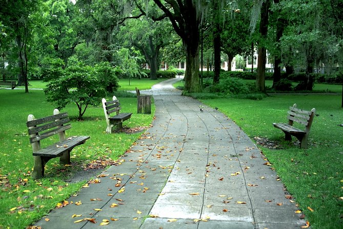Savannah Stroll: Guided Sightseeing & History Walking Tour of Savannah - Cathedral of St. John the Baptist: why this stop matters before you see the rest