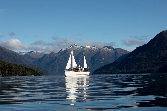 Scenic Cruise & Guided Walk on Historic Motor Yacht Lake Te Anau - Key things that make this tour work well