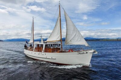 Scenic Cruise & Guided Walk on Historic Motor Yacht Lake Te Anau - Stop 1 in Te Wahipounamu: the guided walk with mountain views