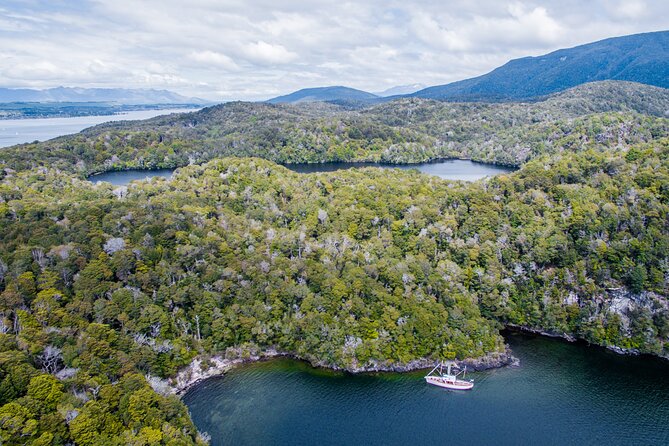 Scenic Cruise & Guided Walk on Historic Motor Yacht Lake Te Anau - Afternoon tea onboard: light refreshments, then a full tea break