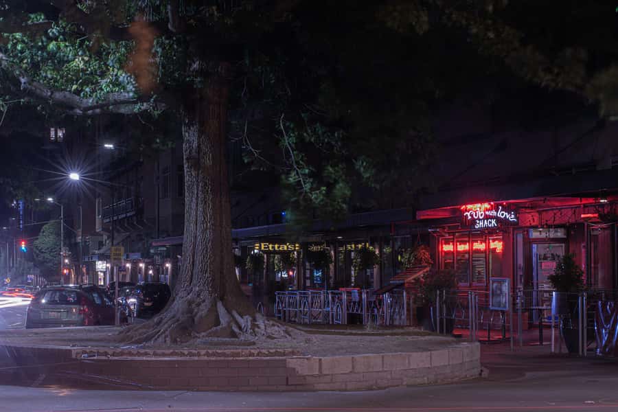 Seattle: Terrors and Ghosts Guided Walking Tour - Price and value: is $27 a good deal for ghost-story downtime?