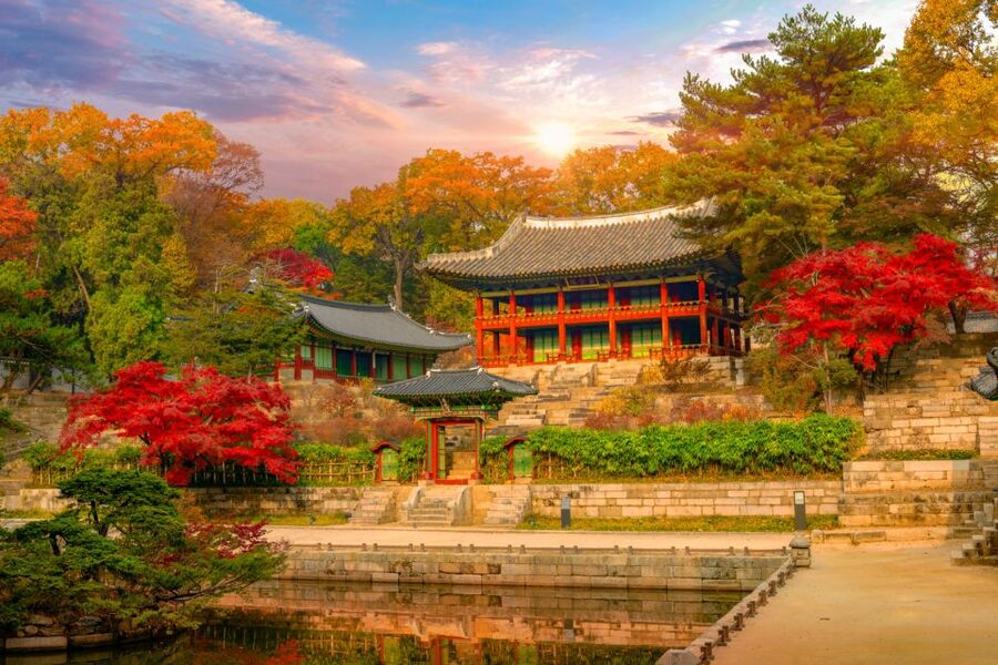 Seoul: Gyeongbok Palace and Bukchon Hanok Walking Tour - Weather, walking pace, and what to wear