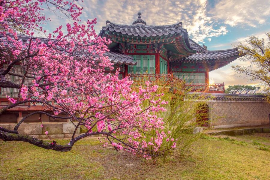 Seoul: Gyeongbok Palace and Bukchon Hanok Walking Tour - The simple flow: from City Hall to palace gates to hanok streets
