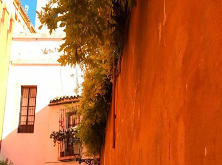 Seville: 1-Hour Walking Tour Barrio de Santa Cruz - Listening closely: legends, oral tradition, and a guide who keeps it moving