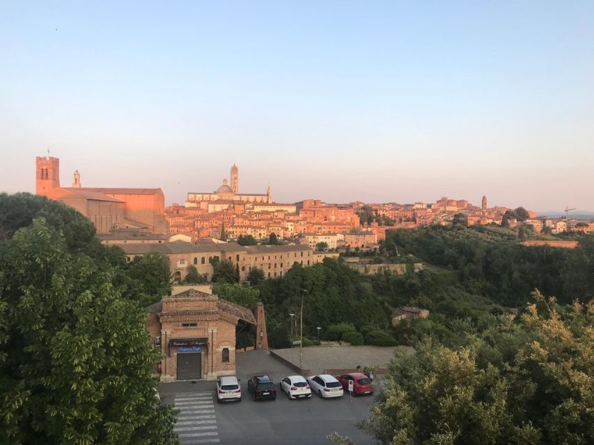 Siena: 3h Private City Walking Tour with Optional Cathedral - Piazza del Duomo area: a photo finish with momentum