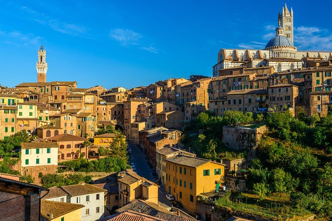 Skip the Line: Siena Duomo and City Walking Tour - Basilica San Domenico: what to look for before you hit the main square