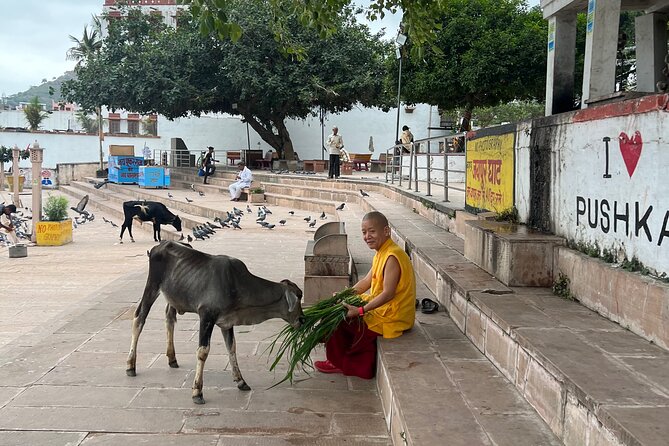 Spiritual City Walking Tour-THE Pushkar Route - Logistics That Help You Enjoy the Walk