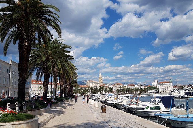 SPLIT-PRIVATE Walking Tour of Diocletian's Palace & Old Town - Key highlights to look for