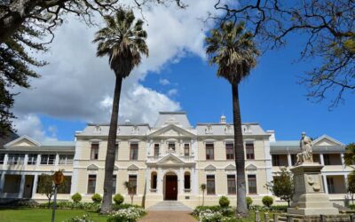 Stellenbosch: Guided Historical Walking Tour - Mill Stream, Oaks, and Cape Dutch Details You’ll Actually Notice