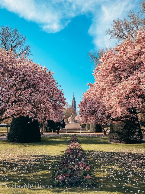 Strasbourg: Guided Historical Neighborhoods Walking Tour - Grand’Rue: the street-between-the-squares experience
