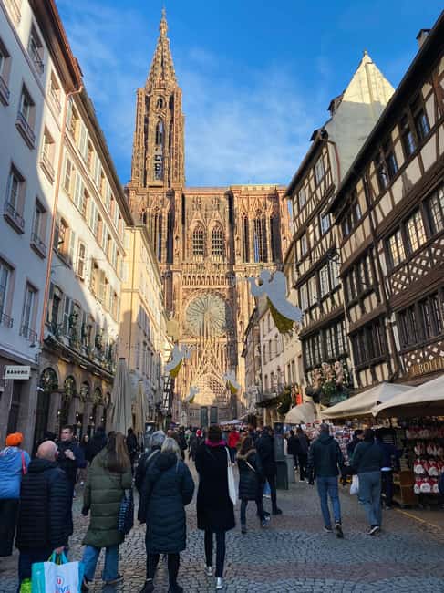 Strasbourg: Walking Tour with a Local Guide - How the Guide Elevances the Whole Walk (and When You Might Feel a Bit Rushed)