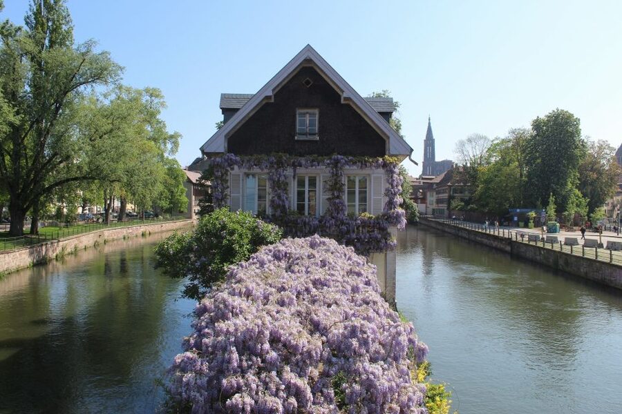 Strasbourg: Walking Tour with Local Guide - Key Highlights You’ll Actually Feel During the Walk