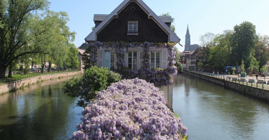 Strasbourg: Walking Tour with Local Guide - Why Strasbourg Feels Like Two Centuries at Once