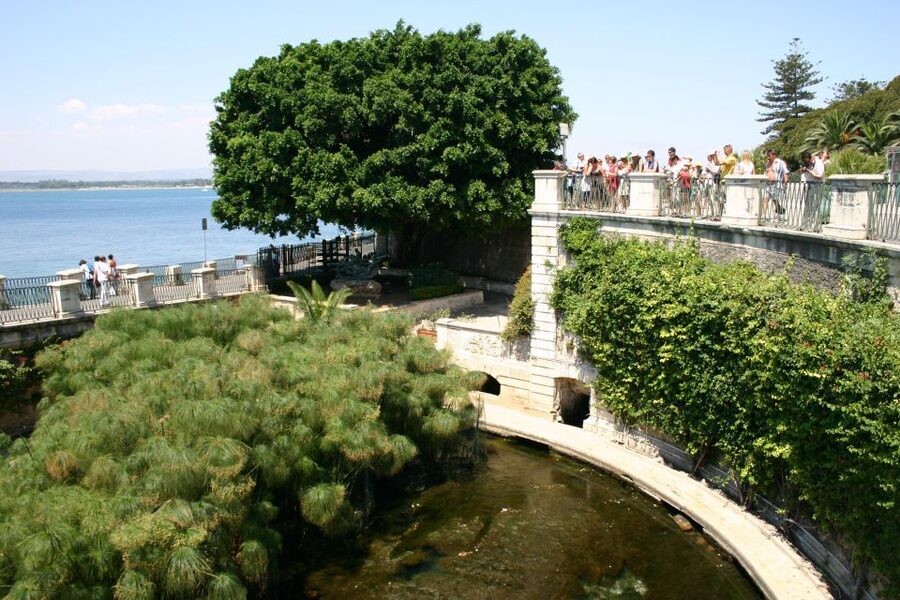 Syracuse: Ortigia Classic Walking Tour - Starting at the Temple of Apollo: Your First Big Clue