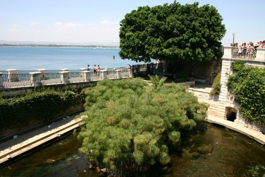 Syracuse: Ortigia Private Walking Tour - Price, group size, and value for money