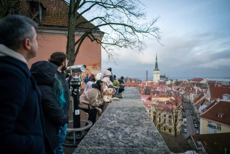 Tallinn: 1.5-Hour Old Town Walking Tour - Town Hall Square weather-vane stories and the Town Hall Pharmacy