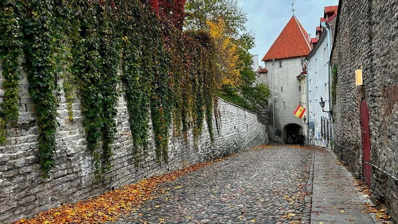Tallinn: Guided Old Town Historical Walking Tour - Kohtuotsa and Patkuli: the viewpoints that make the whole route click