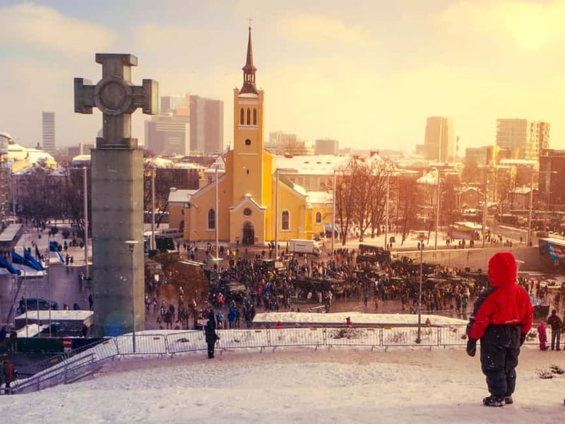 Tallinn: Guided Old Town Historical Walking Tour - Price and value: what $41 buys you in real time