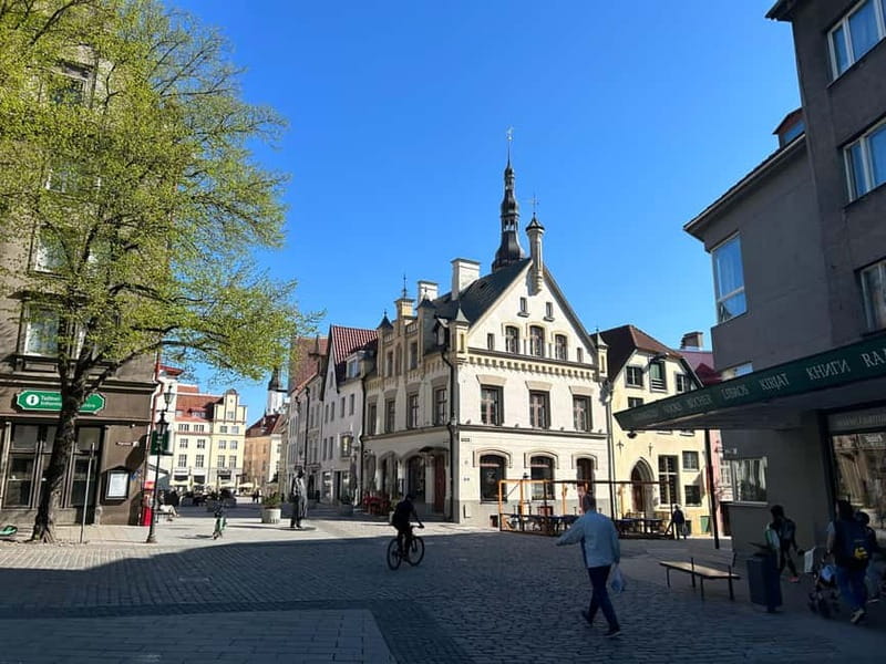 Tallinn: Medieval Walking Tour - The viewpoints that make Tallinn feel like Tallinn