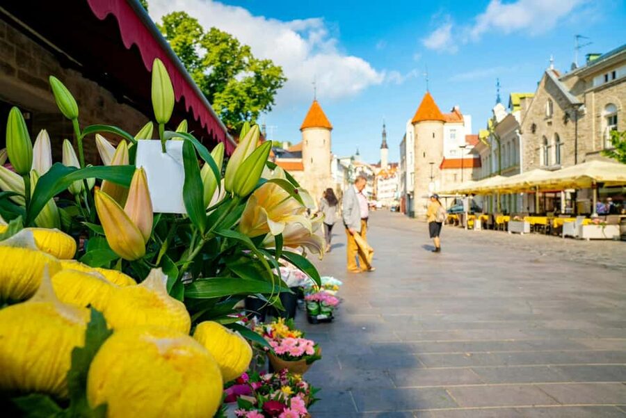 Tallinn Old Town: Stories and Views 2‑Hour Walking Tour - The big uphill theme: cobblestones, Upper Town, and picture-perfect stops