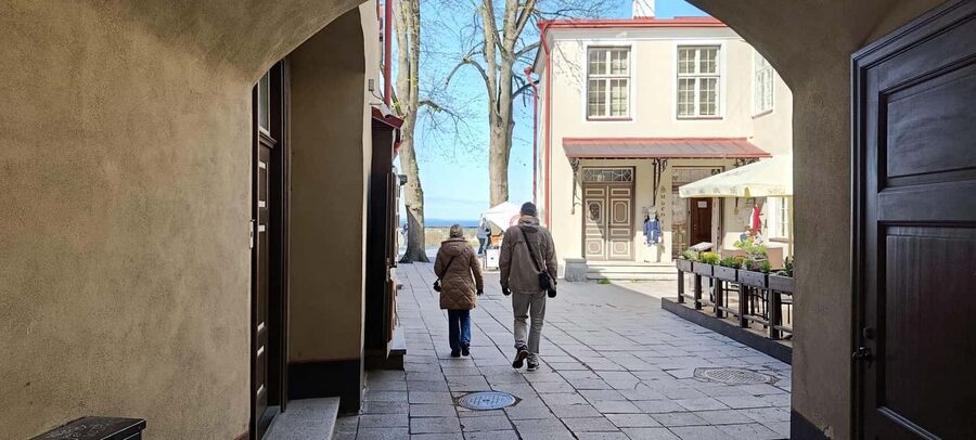 Tallinn: Private Walking Tour with a Local - Price and value: is $56 per person worth it?