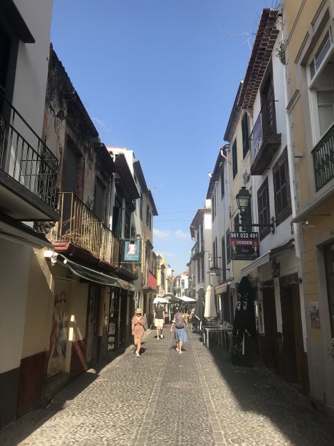 Taste Funchal: food, wine and cultural tour - Wine and tea stops: Madeira drinks with a real sense of place