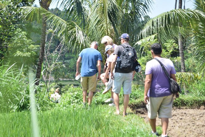Tetebatu Walking Tour - Rice Terraces, Waterfall & Monkey Forest - Tetebatu: the Lombok day trip that feels like you stepped off the main road