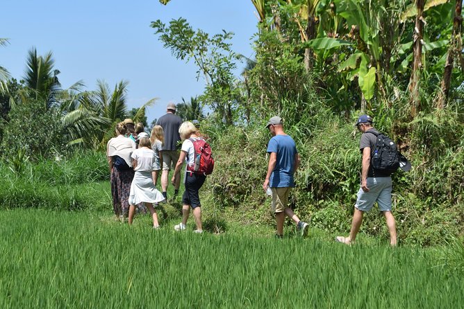 Tetebatu Walking Tour - Rice Terraces, Waterfall & Monkey Forest - Guides on the ground: Jonny, Danny, Eddie, and the power of a good explanation