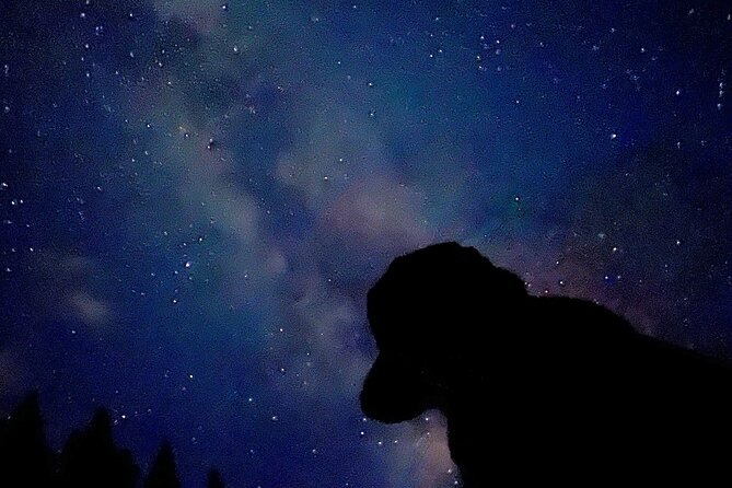 The Banff Stargazing Tour - 2hr Walking Tour - Price and value: what $68.34 buys you