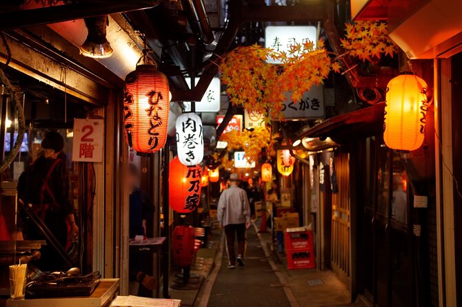 The Dark Side of Tokyo - Night Walking Tour Shinjuku Kabukicho - Shinjuku Kabukicho at night: why a guide changes everything